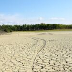 La siccità: effetti e soluzioni
